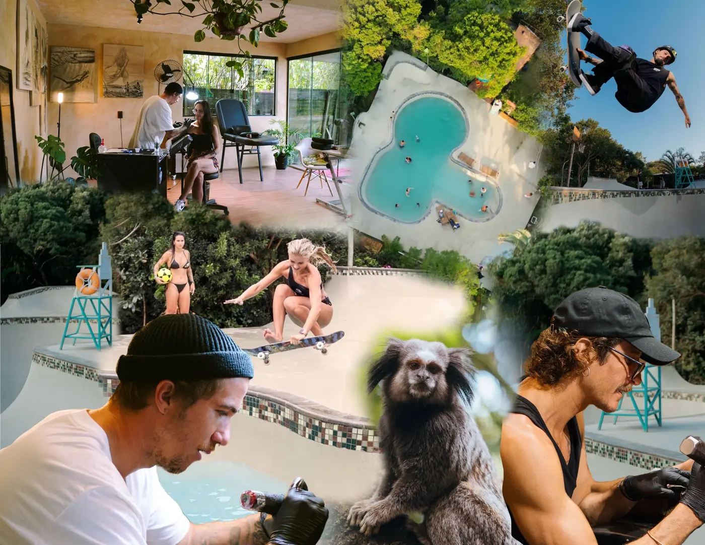 Estúdio Jungle Floripa — ambiente, natureza e experiência ao redor da tatuagem