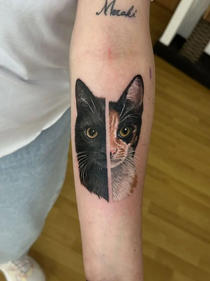 Pet portrait realista de gato, metade preto e metade tricolor